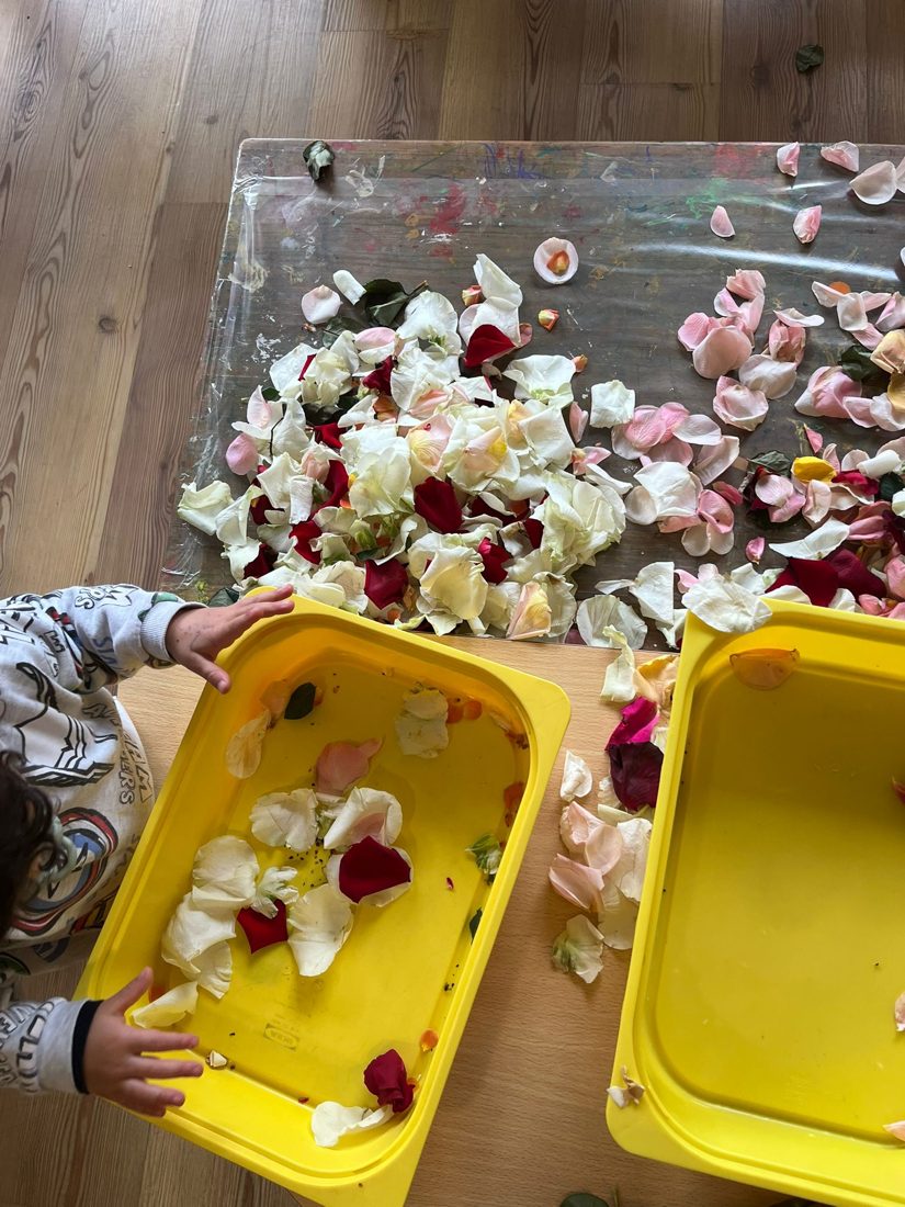 Exploração sensorial com flores